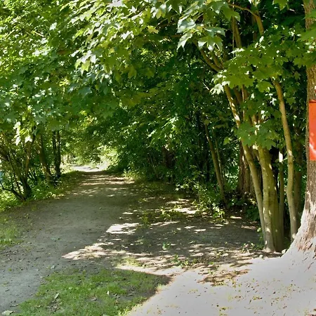 Balonovy A Pivovar