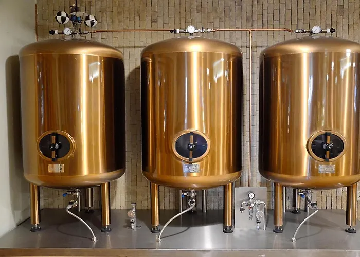 Balonovy A Pivovar 3* Radesin