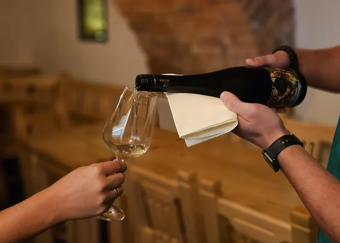 Balonovy A Pivovar Hotel Radesin