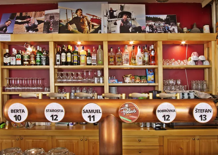 Hotel Balonovy A Pivovar 3*