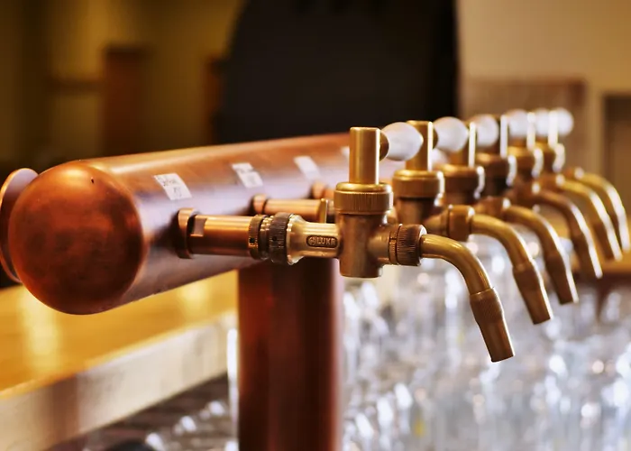 Balonovy A Pivovar Hotel 3*